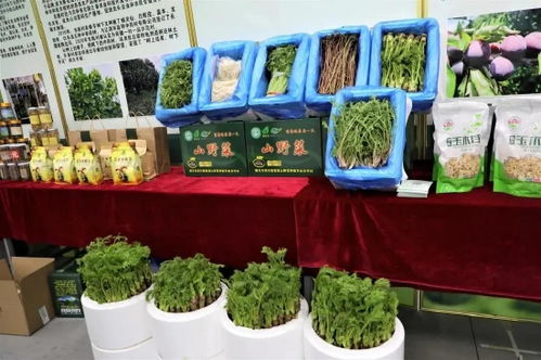 吉林有约 全民做冬丨探冬捕风情，逛年货盛会，尽享农副土特产品