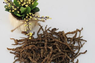 剑川沙溪段记干货 地参统货与特色农副产品