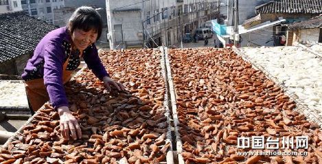 冬闲增收 农副土特产品的“冷”经济新动能